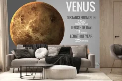 Fototapeta: Venus - infograficzna prezentuje jedną z planet układu słonecznego