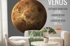 Fototapeta: Venus - infograficzna prezentuje jedną z planet układu słonecznego