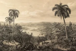 Fototapeta: Vintage palmy w tropikalnej dżungli