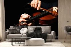 Fototapeta: Violin, violinist, musician.