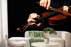 Fototapeta: Violin, violinist, musician.