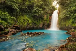 Fototapeta: Volcan tenorio waterfall in the jungle in costa rica