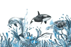 Fototapeta: Żółw wodny i delfina wśród roślinności