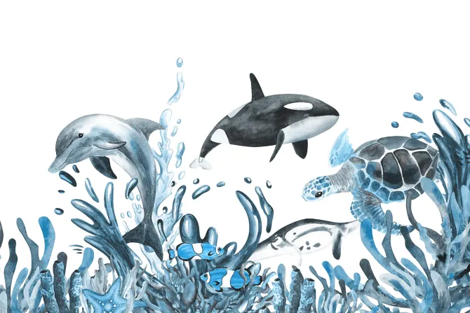 Fototapeta: Żółw wodny i delfina wśród roślinności