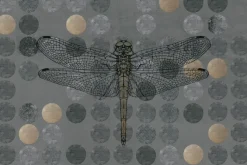 Fototapeta: Ważka na geometrycznym tle