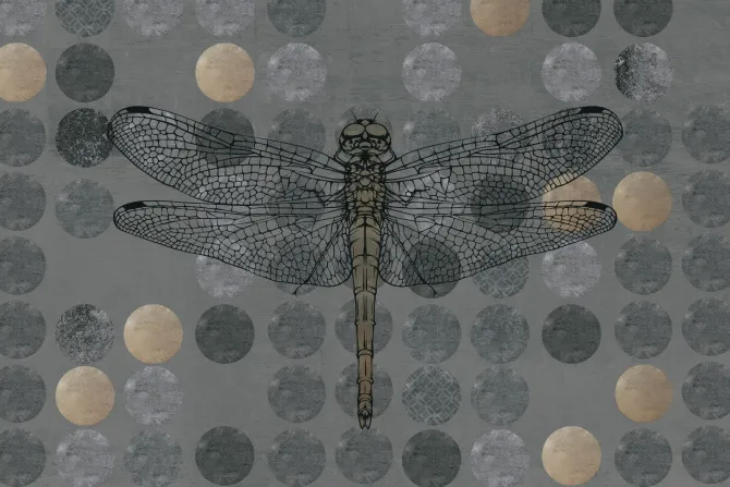 Fototapeta: Ważka na geometrycznym tle