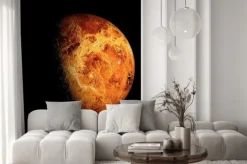 Fototapeta: Wenus w dużym zbliżeniu