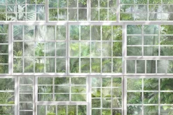 Fototapeta: Widok 3d na tropikalną dżunglę przez okno