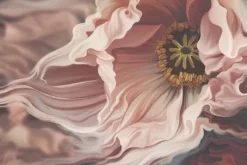 Fototapeta: Widok na różowego tulipana z bliska