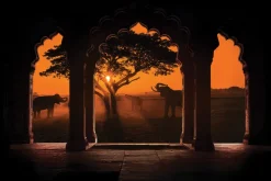 Fototapeta: Widok łuków na tle afryki ze słoniami