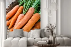 Fototapeta: Świeże marchewki pęczek