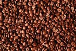 Fototapeta: Świeże ziarna kawy