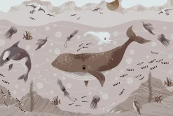 Fototapeta: Wieloryb z meduzami w podwodnym świecie