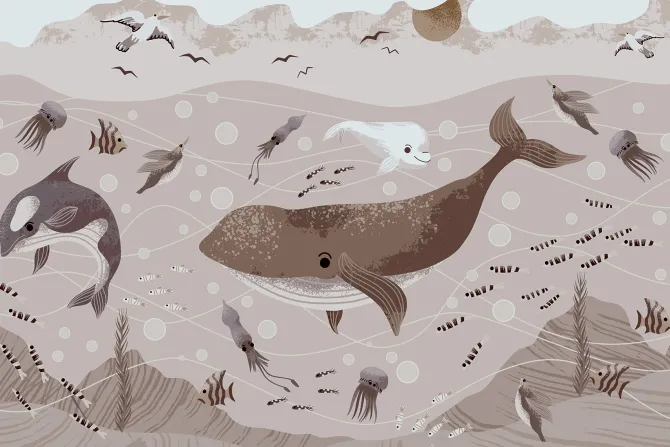 Fototapeta: Wieloryb z meduzami w podwodnym świecie