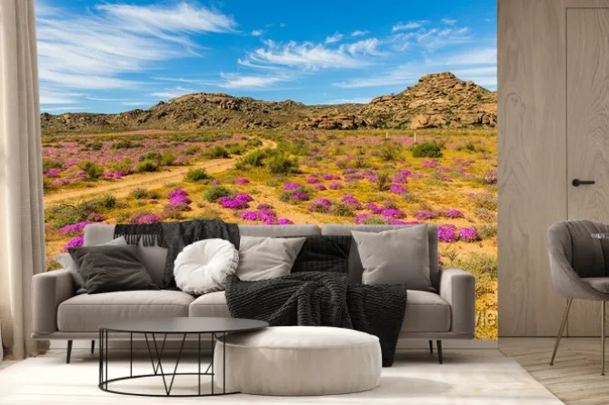 Fototapeta: Wildblumen w südafrika