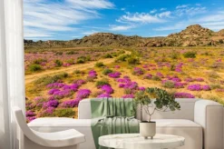 Fototapeta: Wildblumen w südafrika