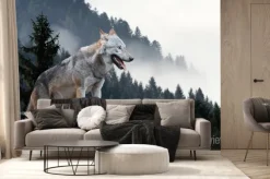 Fototapeta: Wilk obserwujący las z wysokiego punktu