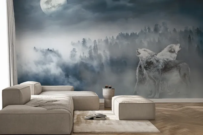 Fototapeta: Wilki na tle lasu przy pełni księżyca