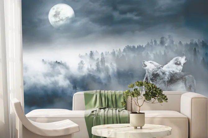 Fototapeta: Wilki na tle lasu przy pełni księżyca
