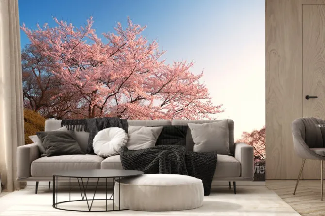 Fototapeta: Wiśni na kiyomizu-dera, kyoto, japonia