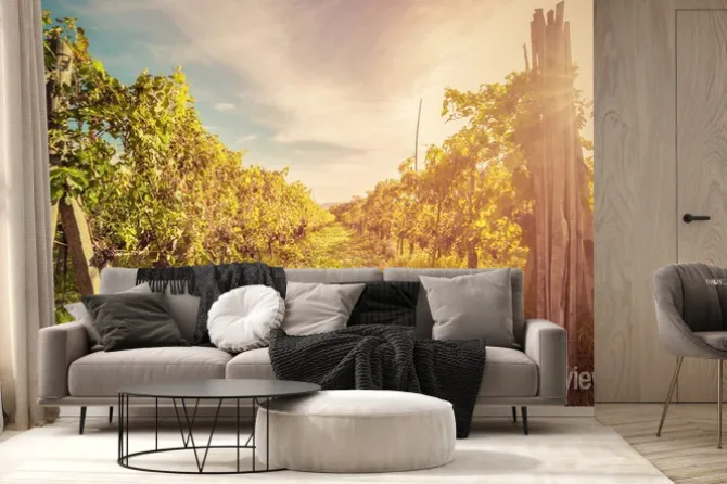 Fototapeta: Winnica w toskanii we włoszech. farm wina o zachodzie słońca.