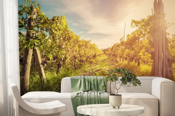 Fototapeta: Winnica w toskanii we włoszech. farm wina o zachodzie słońca.