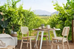 Fototapeta: Winogrona w winnicy