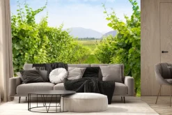 Fototapeta: Winogrona w winnicy