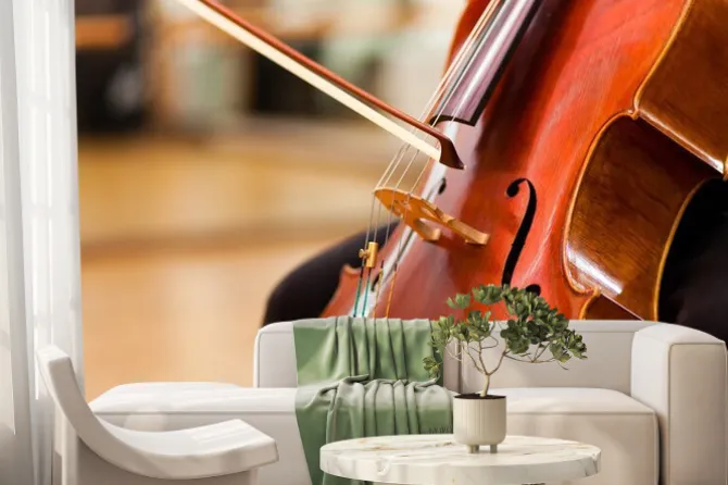 Fototapeta: Wiolonczela