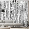 Fototapeta: Wiosenne czarno-białe pnie brzóz
