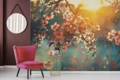Fototapeta: Wiosenne kwiaty wiśni z promieniami słońca