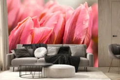 Fototapeta: Wiosenne tulipany