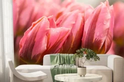 Fototapeta: Wiosenne tulipany