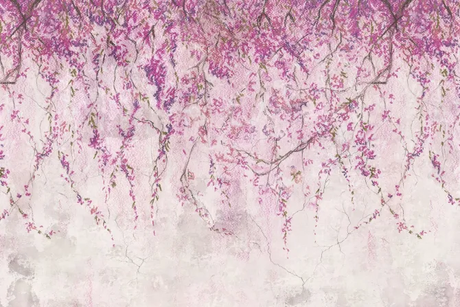 Fototapeta: Wiszące pnącza z różowymi kwiatami