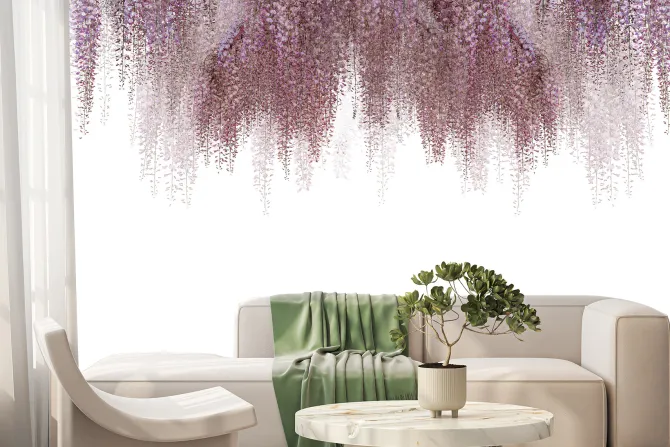 Fototapeta: Wiszące różowe kwiaty kwitnącej wiśni