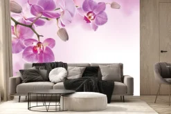 Fototapeta: Wiszące różowe kwiaty storczyków