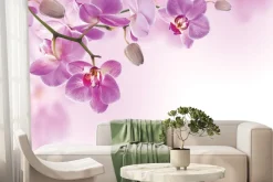 Fototapeta: Wiszące różowe kwiaty storczyków