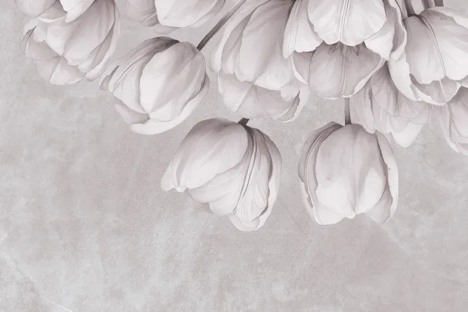 Fototapeta: Wiszące tulipany na betonowej ścianie