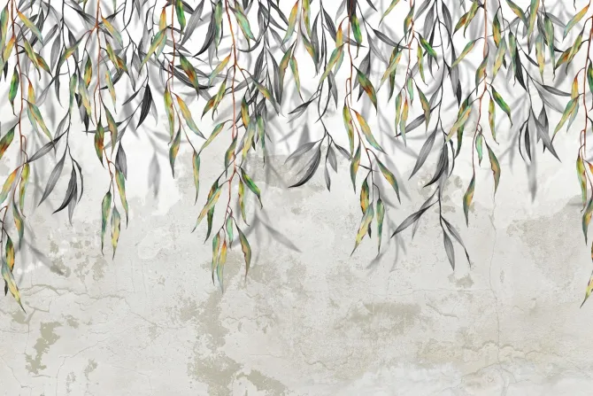 Fototapeta: Wiszące zielone pędy drzewa z liśćmi