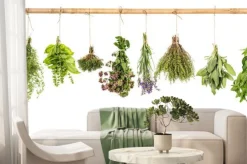 Fototapeta: Wiązki świeżych ziół na sznurku i bambusowym drążku