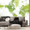 Fototapeta: World map - political - american view - america in center - green
