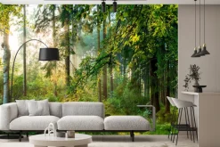 Fototapeta: Wschód słońca w lesie