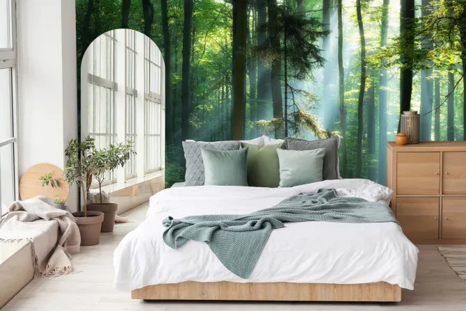 Fototapeta: Wschód słońca w zielonym lesie krajobraz natura