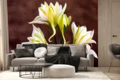 Fototapeta: Wyciszone emocje