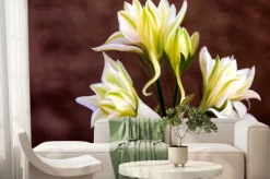 Fototapeta: Wyciszone emocje