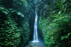 Fototapeta: Wysoki wodospad w tropikalnej dżungli na bali