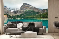 Fototapeta: Yoho national park