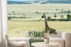 Fototapeta: Żyrafa na sawannie