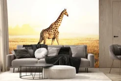 Fototapeta: Żyrafa na słonecznym safari