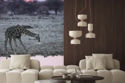 Fototapeta: Żyrafa w wodopoju okaukuejo.